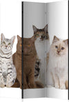 Paravento-Sweet-Cats-[Room-Dividers]