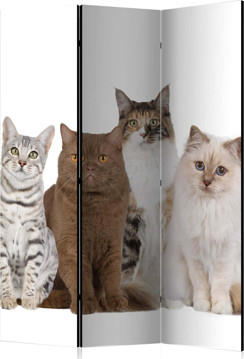 Paravento-Sweet-Cats-[Room-Dividers]