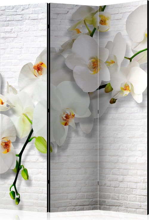 Paravento-The-Urban-Orchid-[Room-Dividers]