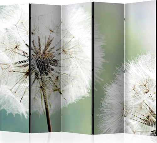 Paravento-Two-dandelions-II-[Room-Dividers]