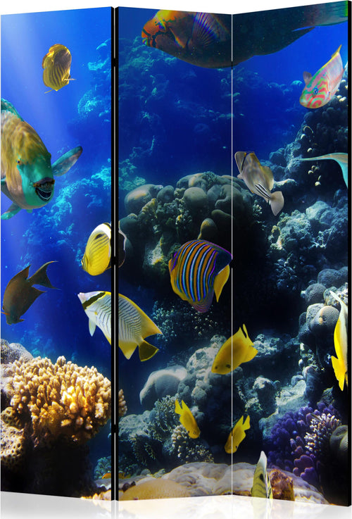 Paravento-Underwater-adventure-[Room-Dividers]