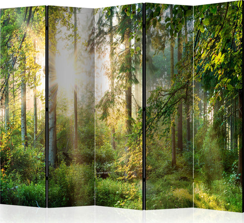 Paravento-Untamed-Nature-II-[Room-Dividers]