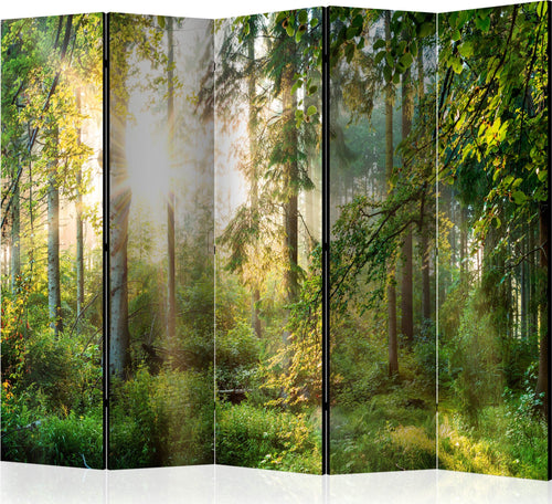 Paravento-Untamed-Nature-II-[Room-Dividers]