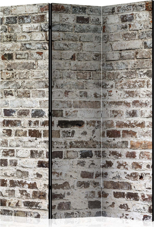 Paravento-Walls-of-Time-[Room-Dividers]