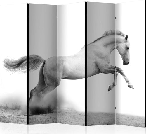 Paravento-White-gallop-II-[Room-Dividers]