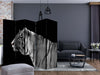 Paravento-White-tiger-II-[Room-Dividers]
