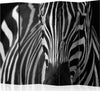 Paravento-White-with-black-stripes-II-[Room-Dividers]