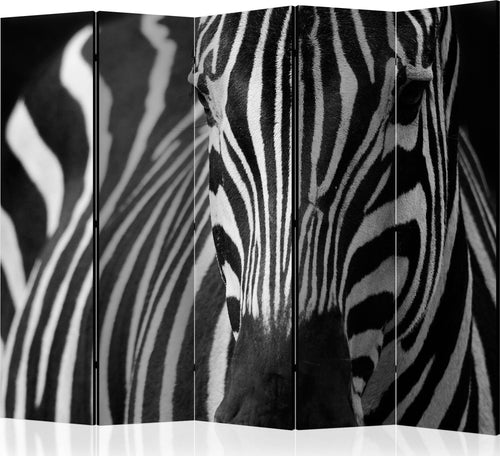 Paravento-White-with-black-stripes-II-[Room-Dividers]