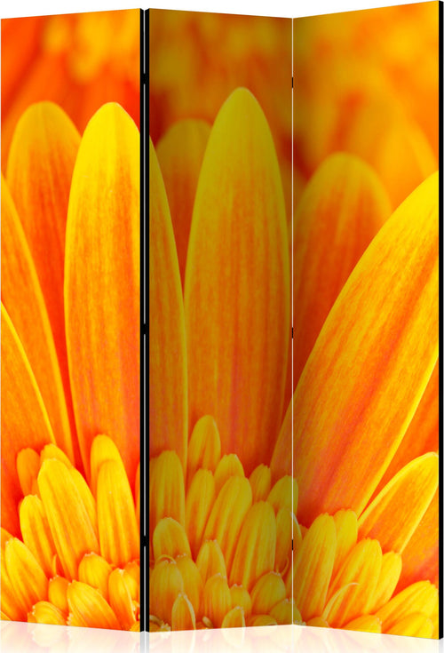 Paravento-Yellow-gerbera-daisies-[Room-Dividers]