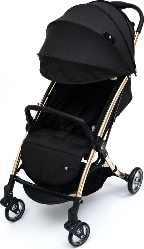 Passeggino-Barotti-Matico