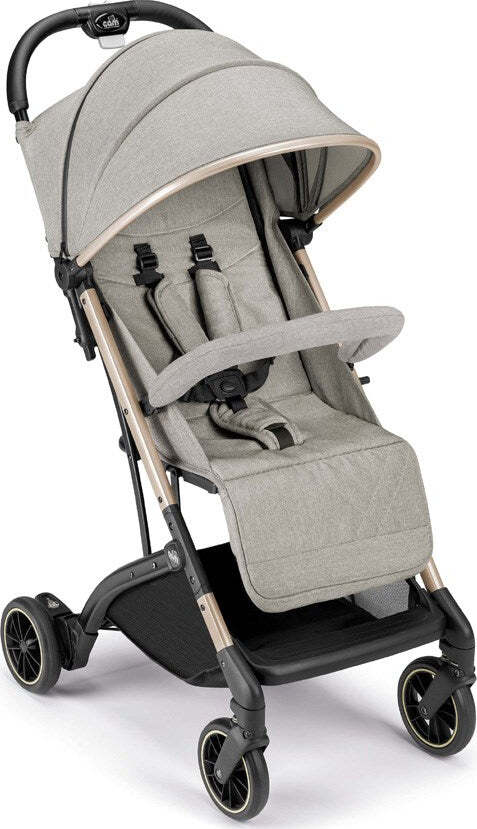 Passeggino-Cam-Compass-2.0