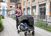 Passeggino Gemellare Baby Jogger City Mini GT2 Double Jet Prima infanzia/Passeggini carrozzine e accessori/Passeggini e carrozzine/Passeggini gemellari e doppi La Casa Del Bebè - Napoli, Commerciovirtuoso.it