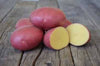 Patate Classiche Labella Coltivate in Abruzzo 2 x 9.5 Kg Patata Rossa Labella + Patate Agria Pasta Gialla - 19Kg Patate Abruzzesi