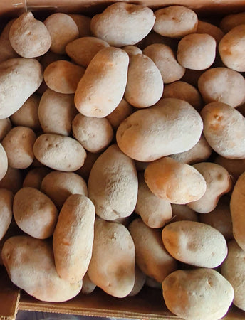 Patate Classiche Labella Coltivate in Abruzzo 2 x 9.5 Kg Patata Rossa Labella + Patate Agria Pasta Gialla - 19Kg Patate Abruzzesi