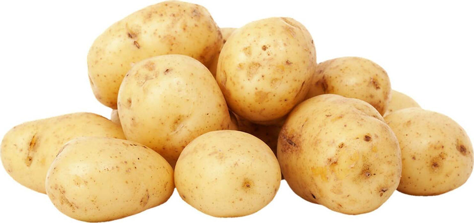 Patate da seme olandesi ad alto rendimento riproduttivo 25 kg Giardino e giardinaggio/Piante semi e bulbi/Piante da esterno/Vegetali La Zappa - Altamura, Commerciovirtuoso.it