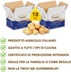 Patate Gialle Di Calabria 18kg [2 Box Multipack] Made in Italy Patate Gialle Calabresi Uso Universale Azienda Agricola Scrivano