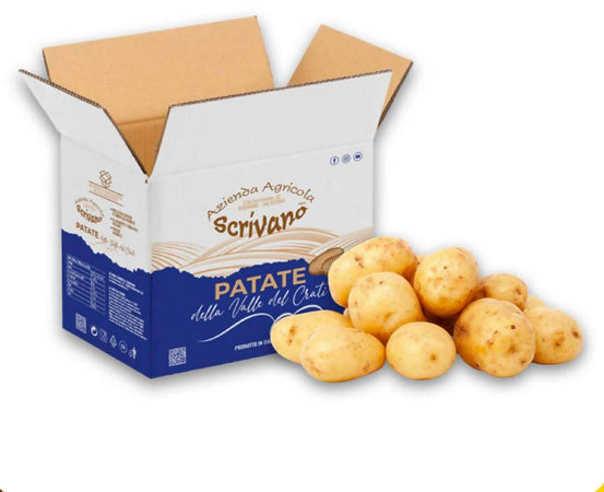Patate Gialle Di Calabria 9kg [1 Box] Patate 100% Made In Italy Patate Gialle Uso Universale Azienda Agricola Scrivano