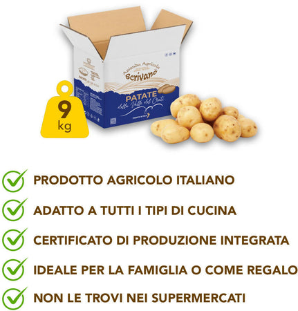 Patate Gialle Di Calabria 9kg [1 Box] Patate 100% Made In Italy Patate Gialle Uso Universale Azienda Agricola Scrivano