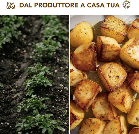 Patate Gialle Di Calabria 9kg [1 Box] Patate 100% Made In Italy Patate Gialle Uso Universale Azienda Agricola Scrivano