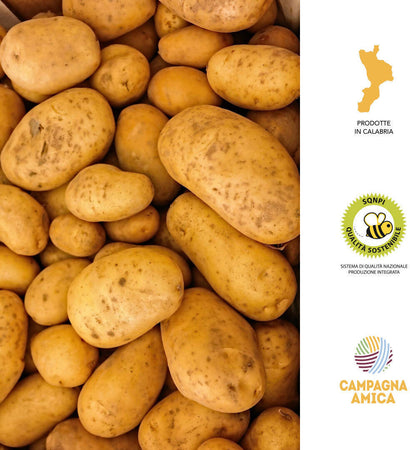 Patate Gialle Di Calabria 9kg [1 Box] Patate 100% Made In Italy Patate Gialle Uso Universale Azienda Agricola Scrivano