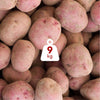 Patate Rosse Di Calabria 9kg [1 Box] Patate 100% Made In Italy Patate Calabresi Rosse Uso Universale Azienda Agricola Scrivano