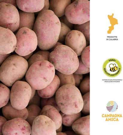 Patate Rosse Di Calabria 9kg [1 Box] Patate 100% Made In Italy Patate Calabresi Rosse Uso Universale Azienda Agricola Scrivano