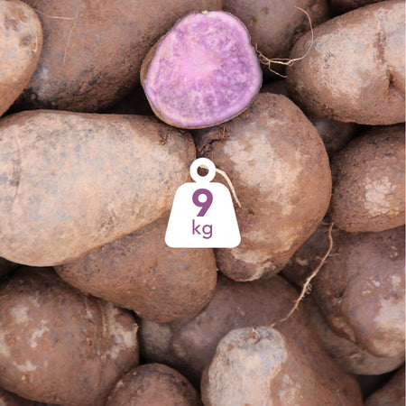 Patate Viola Di Calabria 9kg [1 Box] Patate 100% Made In Italy Patate Dolci Calabresi Viola Uso Universale Azienda Agricola Scrivano