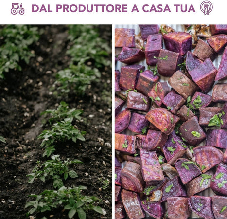 Patate Viola Di Calabria 9kg [1 Box] Patate 100% Made In Italy Patate Dolci Calabresi Viola Uso Universale Azienda Agricola Scrivano