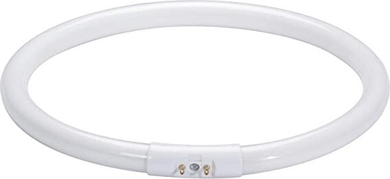 PAULMANN---LAMPADINA-CIRCOLARE-FLUORESCENTE-CON-ATTACCO-AD-INNESTO---T5-22W-2GX13