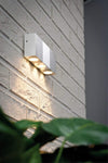 Paulmann-937.63---LAMPADA-DA-PARETE-PER-ESTERNO-3W-LED
