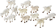 Pecorelle in resina statuine per presepe in resina h 2 cm 48 pezzi Casa e cucina/Decorazioni per interni/Addobbi e decorazioni per ricorrenze/Decorazioni natalizie/Presepi/Statuine e fondali per il presepe MagiediNatale.it - Altamura, Commerciovirtuoso.it