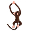 Peluche Scimmia Da 65 Cm Braccia Lunghe Giocattolo Per Bambini In Vari Colori Giochi e giocattoli/Peluche/Animali di peluche Trade Shop italia - Napoli, Commerciovirtuoso.it