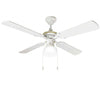 Product Image-1