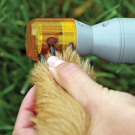 PET PEDICURE LIMA ELETTRICA CORDLESS PER UNGHIE PULIZIA CANE E GATTO UNGHIA  Trade Shop italia - Napoli, Commerciovirtuoso.it