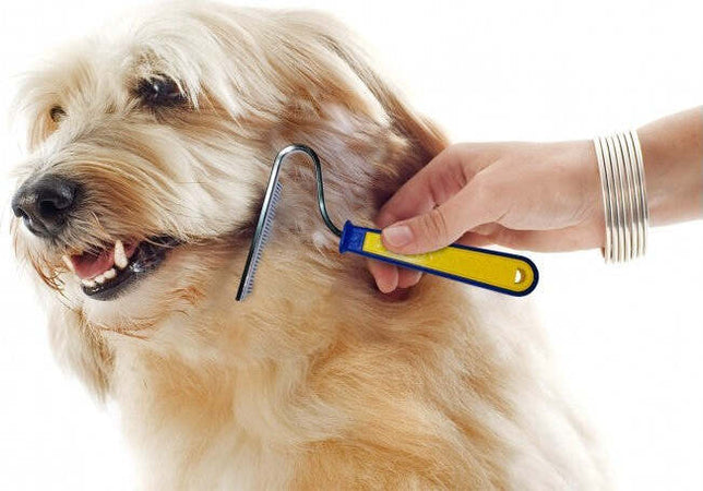 Pettine a rastrello per pelo e sottopelo animali a 30 denti punte coniche Prodotti per animali domestici/Cani/Accessori per toilette/Spazzole Trade Shop italia - Napoli, Commerciovirtuoso.it
