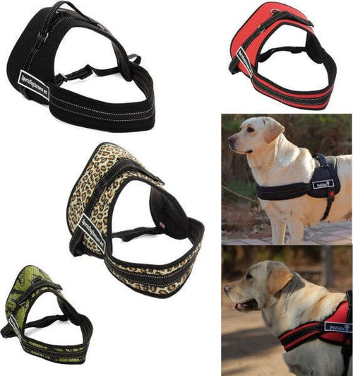 Pettorina-Cinghia-Cani-Cane-Bardatura-Cintura-Imbragatura-Addestramento