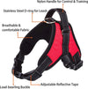 Pettorina Imbracatura Per Cane Cani Piccola Media Grande Taglia A Maglia Aperta Prodotti per animali > Prodotti per Cani > Collari Trade Shop italia - Napoli, Commerciovirtuoso.it