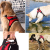 Pettorina Imbracatura Per Cane Cani Piccola Media Grande Taglia A Maglia Aperta Prodotti per animali > Prodotti per Cani > Collari Trade Shop italia - Napoli, Commerciovirtuoso.it