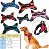 Pettorina Imbracatura Per Cane Cani Piccola Media Grande Taglia A Maglia Aperta Prodotti per animali > Prodotti per Cani > Collari Trade Shop italia - Napoli, Commerciovirtuoso.it