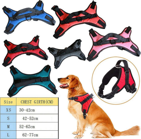 Pettorina Imbracatura Per Cane Cani Piccola Media Grande Taglia A Maglia Aperta Prodotti per animali > Prodotti per Cani > Collari Trade Shop italia - Napoli, Commerciovirtuoso.it