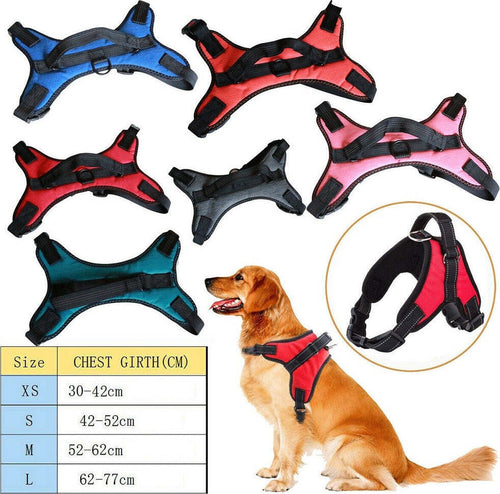 Pettorina Imbracatura Per Cane Cani Piccola Media Grande Taglia A Maglia Aperta Prodotti per animali > Prodotti per Cani > Collari Trade Shop italia - Napoli, Commerciovirtuoso.it
