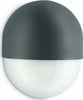 PHILIPS-OUTDOOR---LAMPADA-DA-ESTERNO-ANTRACITE-12W-FOREST_