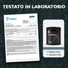 Phoenix Post Workout 250g Creapure® Kyowa Quality® Con Bcaa 2:1:1, L-glutammina, Fosfatidilserina, Arginina, L-lisina Minerali E Vitamine | Recupero Muscolare Dopo Allenamenti | Aroma Arancia-pesca Salute e cura della persona/Alimentazione e nutrizione/Integratori per lo sport/Aminoacidi/L-glutammina MyLab Nutrition - Roma, Commerciovirtuoso.it