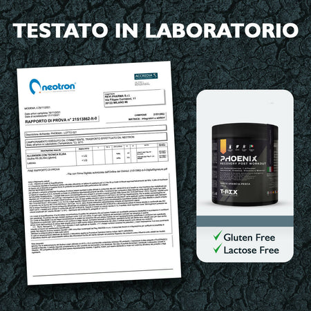 Phoenix Post Workout 250g Creapure® Kyowa Quality® Con Bcaa 2:1:1, L-glutammina, Fosfatidilserina, Arginina, L-lisina Minerali E Vitamine | Recupero Muscolare Dopo Allenamenti | Aroma Arancia-pesca Salute e cura della persona/Alimentazione e nutrizione/Integratori per lo sport/Aminoacidi/L-glutammina MyLab Nutrition - Roma, Commerciovirtuoso.it