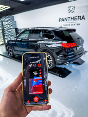 ?? ART.2672 PANTHERA SOUND SYSTEM ADATTO PER BMW X5 M F85 ??