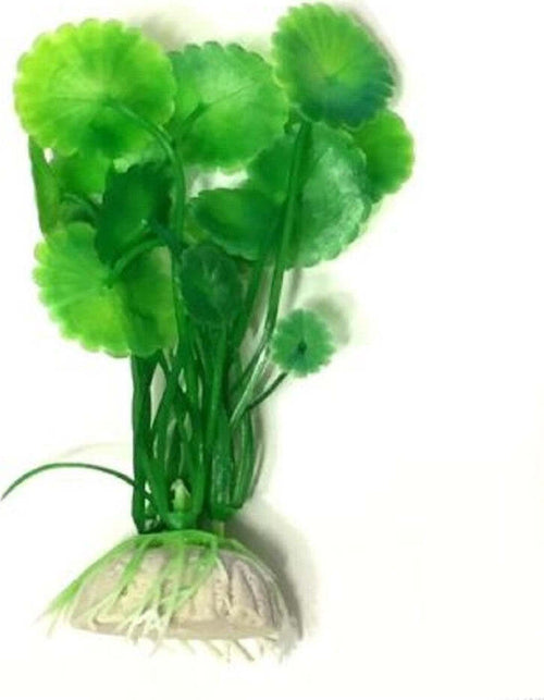 Pianta 10 Cm Piantina Artificiale Per Acquario Piante Finte Plastica Color Verde Prodotti per animali > Prodotti per Acquari > Decorazioni Acquario Trade Shop italia - Napoli, Commerciovirtuoso.it