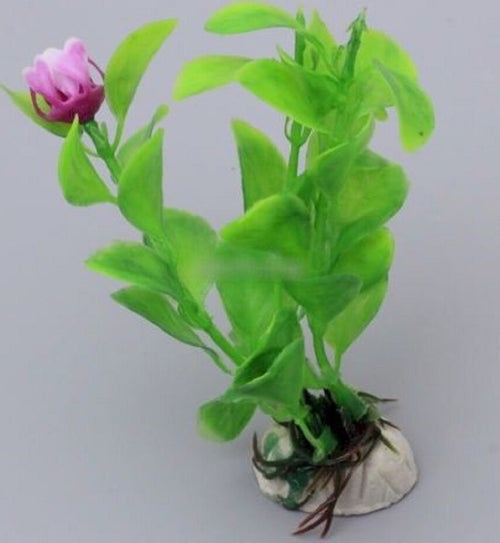 Pianta 10 Cm Piantina Artificiale Per Acquario Piante Finte Plastica Color Verde Prodotti per animali > Prodotti per Acquari > Decorazioni Acquario Trade Shop italia - Napoli, Commerciovirtuoso.it