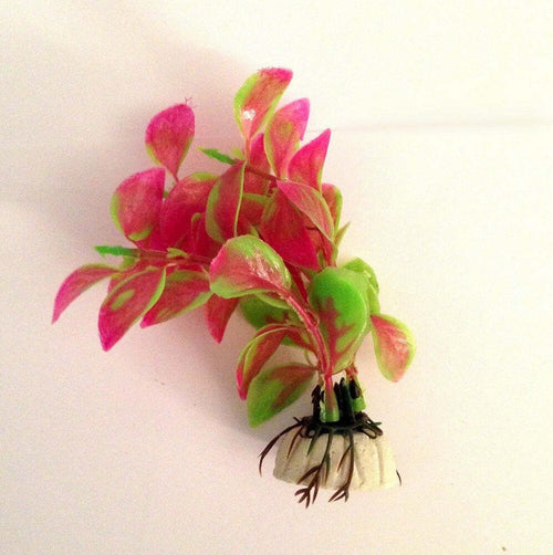 Pianta 11 Cm Piantina Artificiale Per Acquario Piante Finte Plastica Verde Viola Prodotti per animali > Prodotti per Acquari > Decorazioni Acquario Trade Shop italia - Napoli, Commerciovirtuoso.it