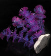 Pianta 11 Cm Piantina Artificiale Per Acquario Piante Finte Plastica Viola Prodotti per animali domestici/Pesci e animali d'acqua/Arredo per acquario/Piante sintetiche Trade Shop italia - Napoli, Commerciovirtuoso.it