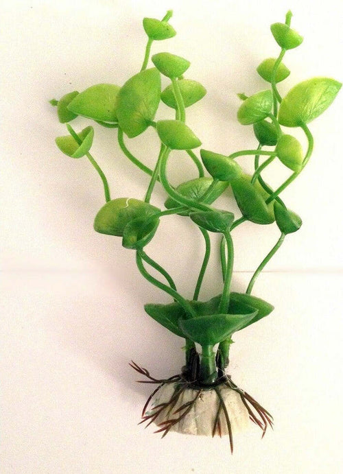 Pianta 13 Cm Piantina Artificiale Per Acquario Piante Finte Plastica Color Verde Prodotti per animali > Prodotti per Acquari > Decorazioni Acquario Trade Shop italia - Napoli, Commerciovirtuoso.it